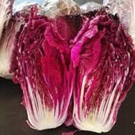 Featured vegetable Seeds imported from Korea purple purple cabba